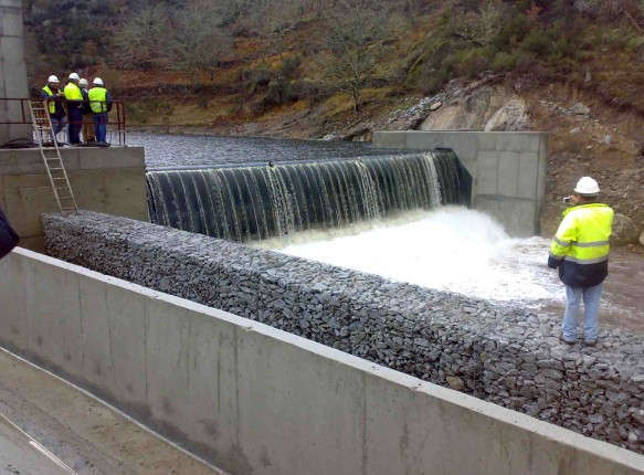 Pretarouca portugal 2008